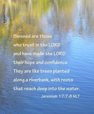 il_fullxfull.379629606_h8nt