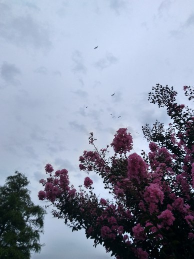 IMG_20190813_192915460_HDR